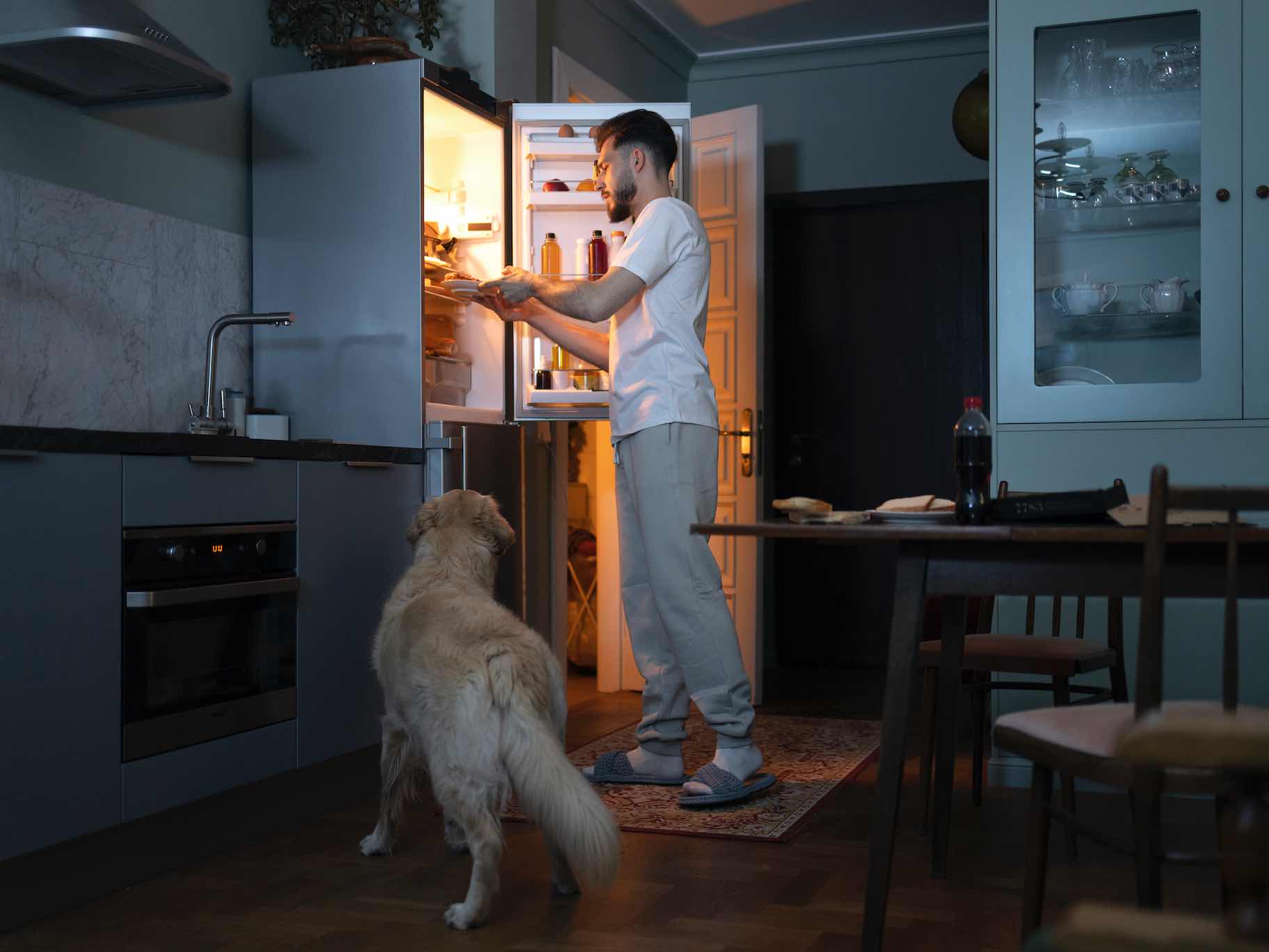 Sicherheit Kamerasysteme:“Können Hunde alleine zu Hause bleiben?“